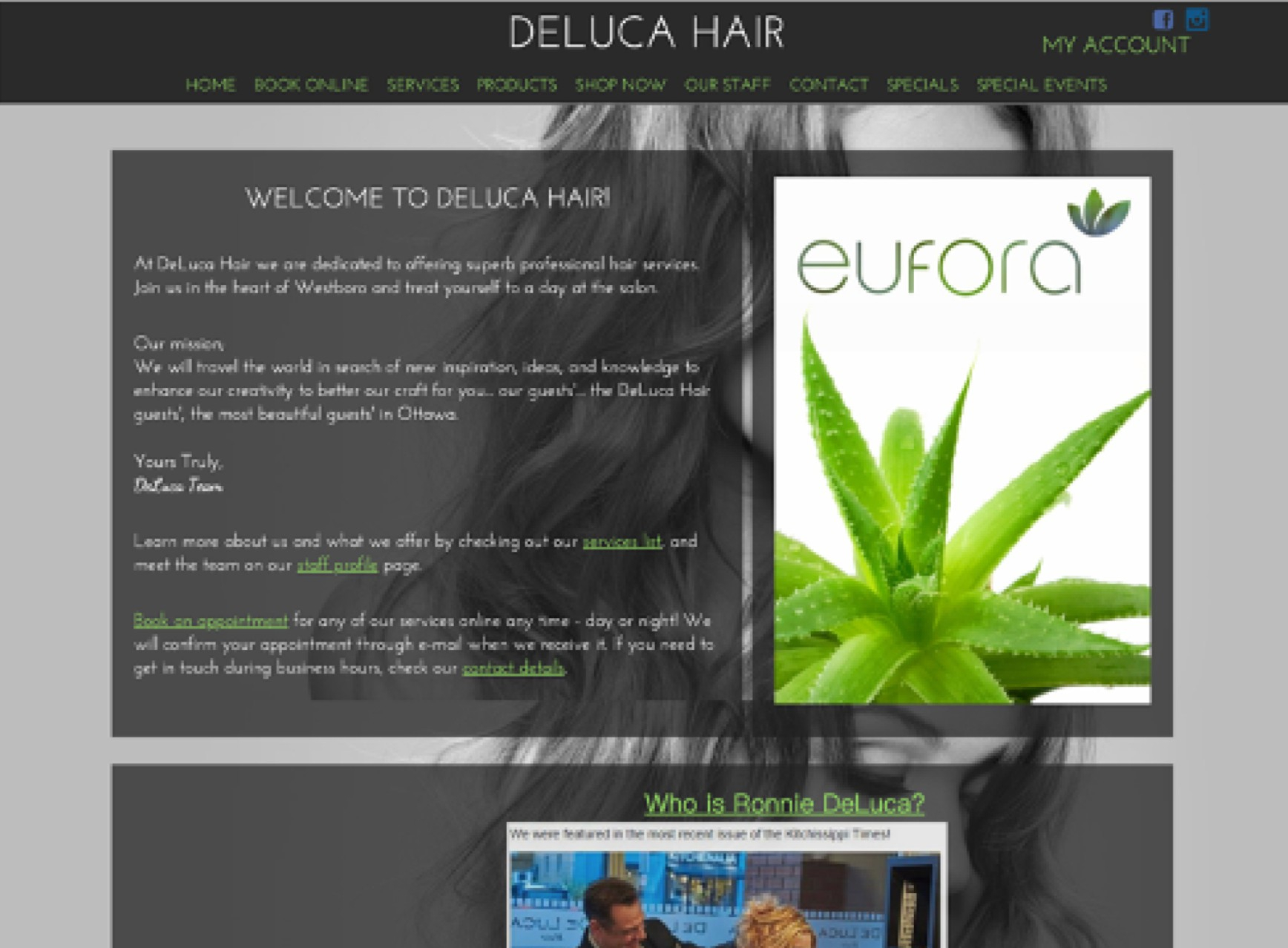 Previous homepage of DeLuca Hair.